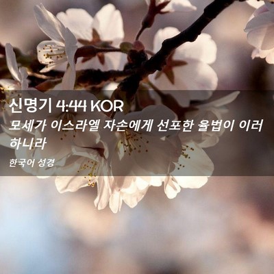 Picture 02 - 신명기 4:44 KOR - 모세가 이스라엘 자손에게 선포한 - Bible Verse Picture