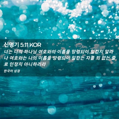 Picture 02 - 신명기 5:11 KOR - 너는 너의 하나님 여호와의 이름을 - Bible Verse Picture