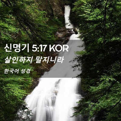 Picture 02 - 신명기 5:17 KOR - 살인하지 - Bible Verse Picture