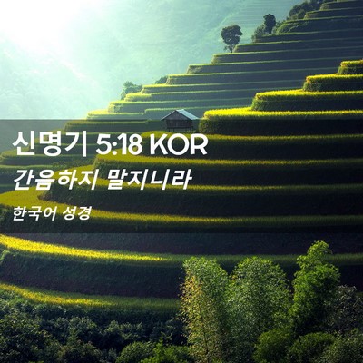 Picture 02 - 신명기 5:18 KOR - 간음하지 - Bible Verse Picture