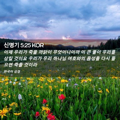 Picture 02 - 신명기 5:25 KOR - 이제 우리가 죽을 까닭이 - Bible Verse Picture