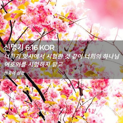 Picture 02 - 신명기 6:16 KOR - 너희가 맛사에서 시험한 것 같이 - Bible Verse Picture