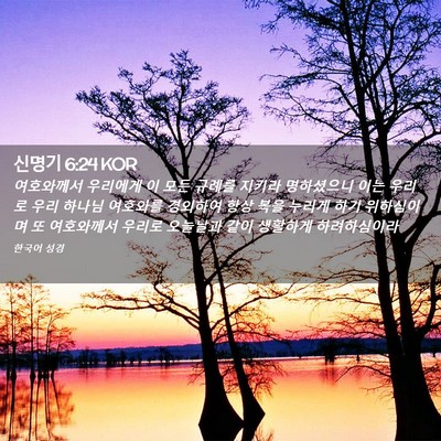 Picture 02 - 신명기 6:24 KOR - 여호와께서 우리에게 이 모든 규례를 - Bible Verse Picture
