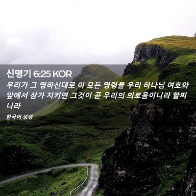 Picture 02 - 신명기 6:25 KOR - 우리가 그 명하신대로 이 모든 - Bible Verse Picture