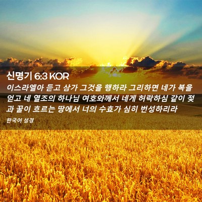 Picture 02 - 신명기 6:3 KOR - 이스라엘아 듣고 삼가 그것을 행하라 - Bible Verse Picture