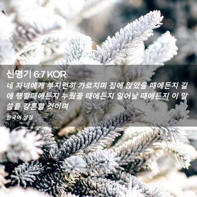 Picture 02 - 신명기 6:7 KOR - 네 자녀에게 부지런히 가르치며 집에 - Bible Verse Picture