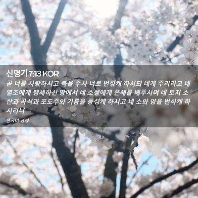 Picture 02 - 신명기 7:13 KOR - 곧 너를 사랑하시고 복을 주사 너로 - Bible Verse Picture
