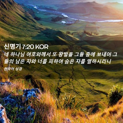 Picture 02 - 신명기 7:20 KOR - 네 하나님 여호와께서 또 왕벌을 - Bible Verse Picture