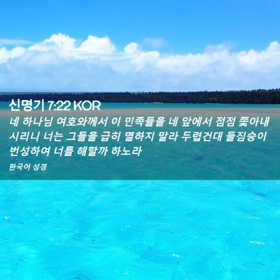 Picture 02 - 신명기 7:22 KOR - 네 하나님 여호와께서 이 민족들을 - Bible Verse Picture