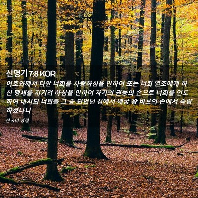 Picture 02 - 신명기 7:8 KOR - 여호와께서 다만 너희를 사랑하심을 - Bible Verse Picture