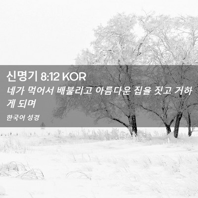 Picture 02 - 신명기 8:12 KOR - 네가 먹어서 배불리고 아름다운 집을 - Bible Verse Picture
