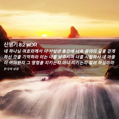 Picture 02 - 신명기 8:2 KOR - 네 하나님 여호와께서 이 사십년 - Bible Verse Picture
