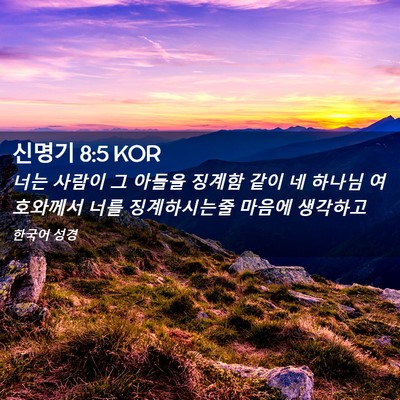 Picture 02 - 신명기 8:5 KOR - 너는 사람이 그 아들을 징계함 같이 - Bible Verse Picture