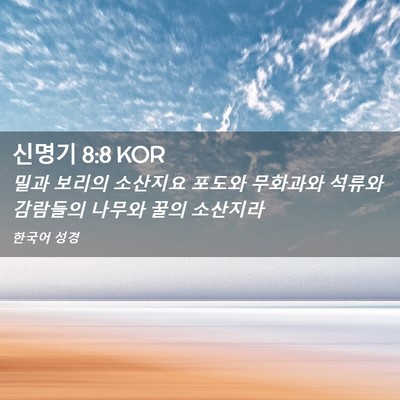 Picture 02 - 신명기 8:8 KOR - 밀과 보리의 소산지요 포도와 - Bible Verse Picture