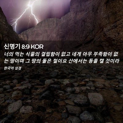 Picture 02 - 신명기 8:9 KOR - 너의 먹는 식물의 결핍함이 없고 - Bible Verse Picture