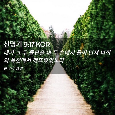 Picture 02 - 신명기 9:17 KOR - 내가 그 두 돌판을 내 두 손에서 들어 - Bible Verse Picture