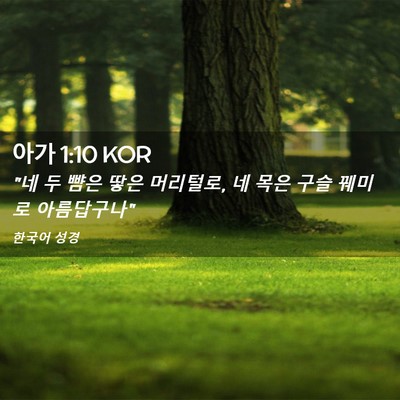 Picture 02 - 아가 1:10 KOR - 