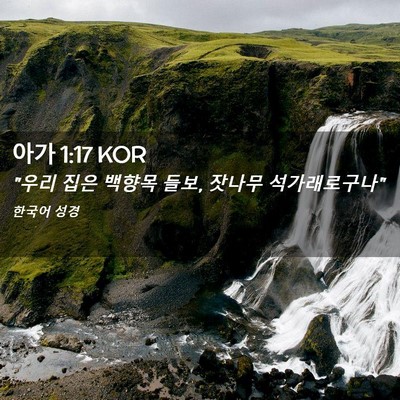 Picture 02 - 아가 1:17 KOR - 