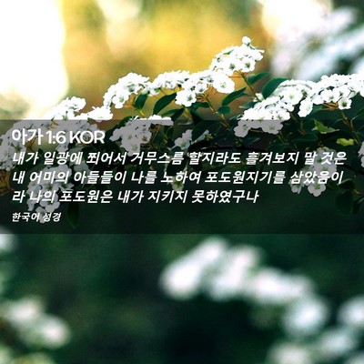 Picture 02 - 아가 1:6 KOR - 내가 일광에 쬐어서 거무스름 - Bible Verse Picture
