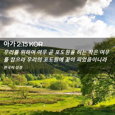 Picture 02 - 아가 2:15 KOR - 우리를 위하여 여우 곧 포도원을 - Bible Verse Picture