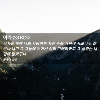 Picture 02 - 아가 2:3 KOR - 남자들 중에 나의 사랑하는 자는 - Bible Verse Picture