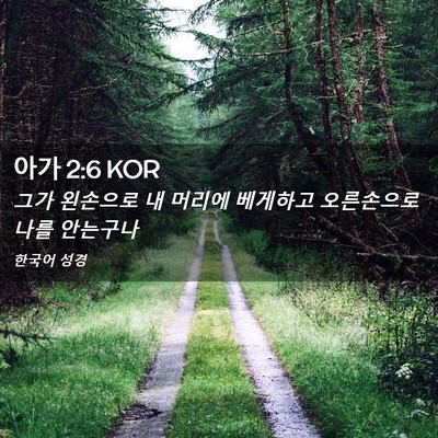 Picture 02 - 아가 2:6 KOR - 그가 왼손으로 내 머리에 베게하고 - Bible Verse Picture