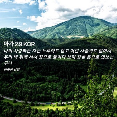 Picture 02 - 아가 2:9 KOR - 나의 사랑하는 자는 노루와도 같고 - Bible Verse Picture