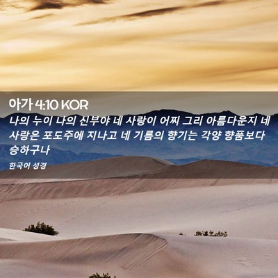 Picture 02 - 아가 4:10 KOR - 나의 누이 나의 신부야 네 사랑이 - Bible Verse Picture