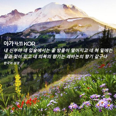 Picture 02 - 아가 4:11 KOR - 내 신부야 네 입술에서는 꿀 방울이 - Bible Verse Picture