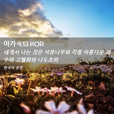 Picture 02 - 아가 4:13 KOR - 네게서 나는 것은 석류나무와 각종 - Bible Verse Picture