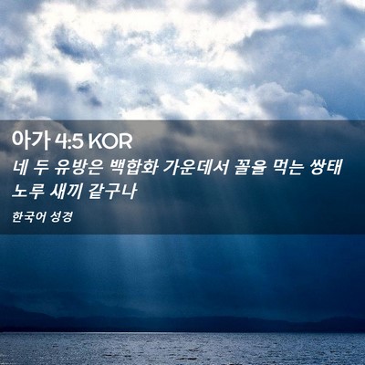 Picture 02 - 아가 4:5 KOR - 네 두 유방은 백합화 가운데서 꼴을 - Bible Verse Picture