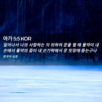Picture 02 - 아가 5:5 KOR - 일어나서 나의 사랑하는 자 위하여 - Bible Verse Picture