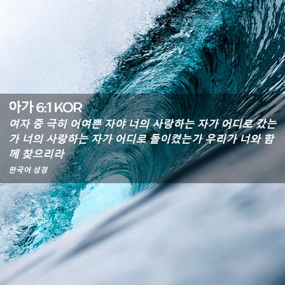 Picture 02 - 아가 6:1 KOR - 여자 중 극히 어여쁜 자야 너의 - Bible Verse Picture