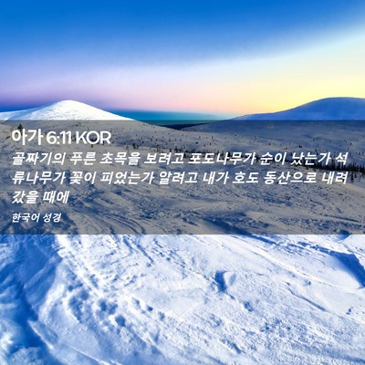 Picture 02 - 아가 6:11 KOR - 골짜기의 푸른 초목을 보려고 - Bible Verse Picture