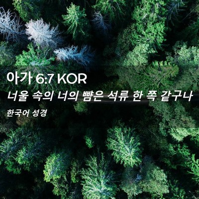 Picture 02 - 아가 6:7 KOR - 너울 속의 너의 뺨은 석류 한 쪽 - Bible Verse Picture