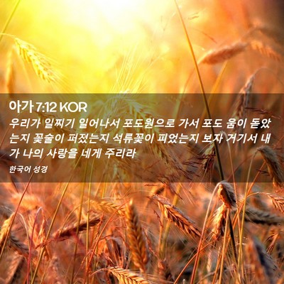 Picture 02 - 아가 7:12 KOR - 우리가 일찌기 일어나서 포도원으로 - Bible Verse Picture