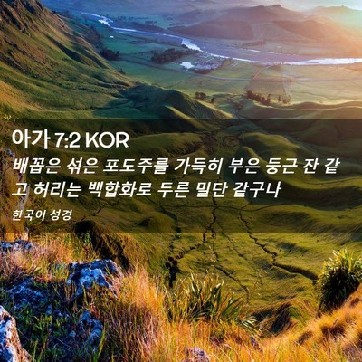 Picture 02 - 아가 7:2 KOR - 배꼽은 섞은 포도주를 가득히 부은 - Bible Verse Picture