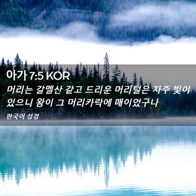 Picture 02 - 아가 7:5 KOR - 머리는 갈멜산 같고 드리운 머리털은 - Bible Verse Picture