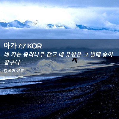 Picture 02 - 아가 7:7 KOR - 네 키는 종려나무 같고 네 유방은 그 - Bible Verse Picture