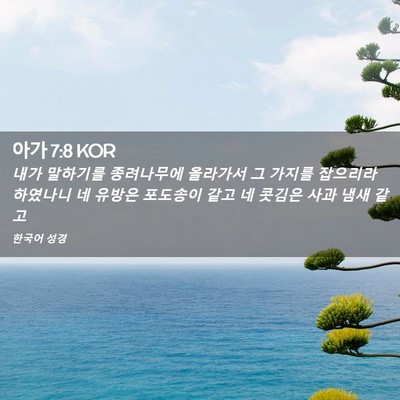 Picture 02 - 아가 7:8 KOR - 내가 말하기를 종려나무에 올라가서 - Bible Verse Picture