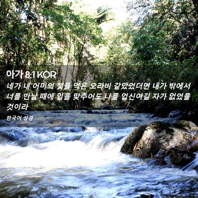 Picture 02 - 아가 8:1 KOR - 네가 내 어미의 젖을 먹은 오라비 - Bible Verse Picture