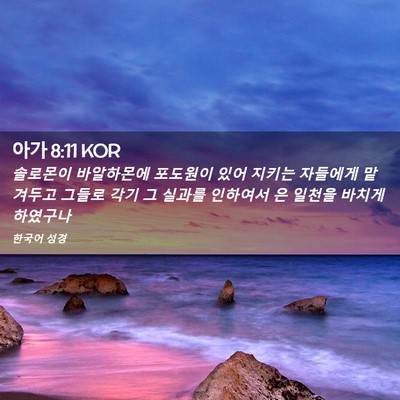 Picture 02 - 아가 8:11 KOR - 솔로몬이 바알하몬에 포도원이 있어 - Bible Verse Picture