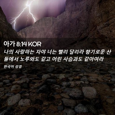Picture 02 - 아가 8:14 KOR - 나의 사랑하는 자야 너는 빨리 - Bible Verse Picture