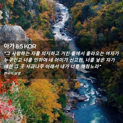 Picture 02 - 아가 8:5 KOR - 