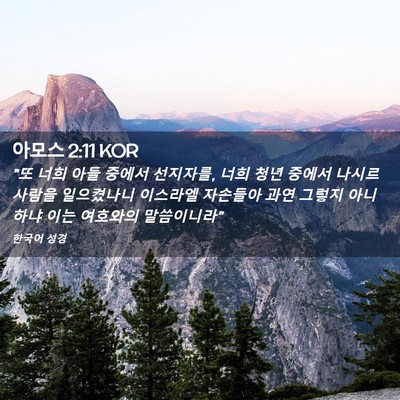 Picture 02 - 아모스 2:11 KOR - 