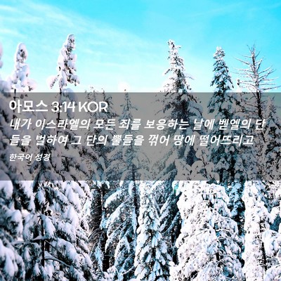 Picture 02 - 아모스 3:14 KOR - 내가 이스라엘의 모든 죄를 보응하는 - Bible Verse Picture