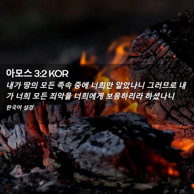 Picture 02 - 아모스 3:2 KOR - 내가 땅의 모든 족속 중에 너희만 - Bible Verse Picture