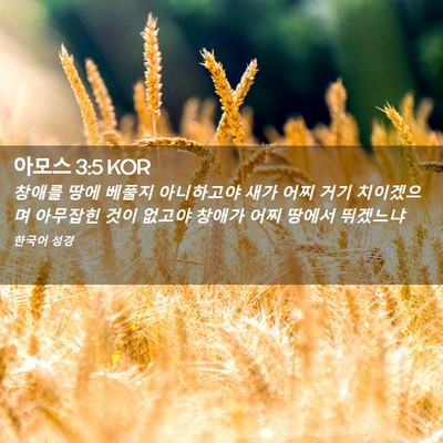 Picture 02 - 아모스 3:5 KOR - 창애를 땅에 베풀지 아니하고야 새가 - Bible Verse Picture