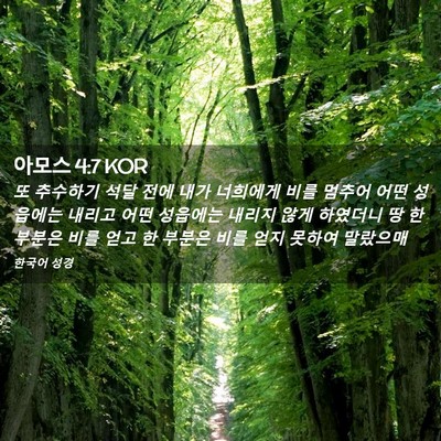 Picture 02 - 아모스 4:7 KOR - 또 추수하기 석달 전에 내가 - Bible Verse Picture