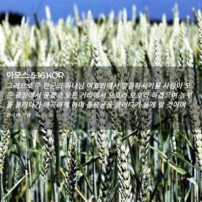 Picture 02 - 아모스 5:16 KOR - 그러므로 주 만군의 하나님 - Bible Verse Picture